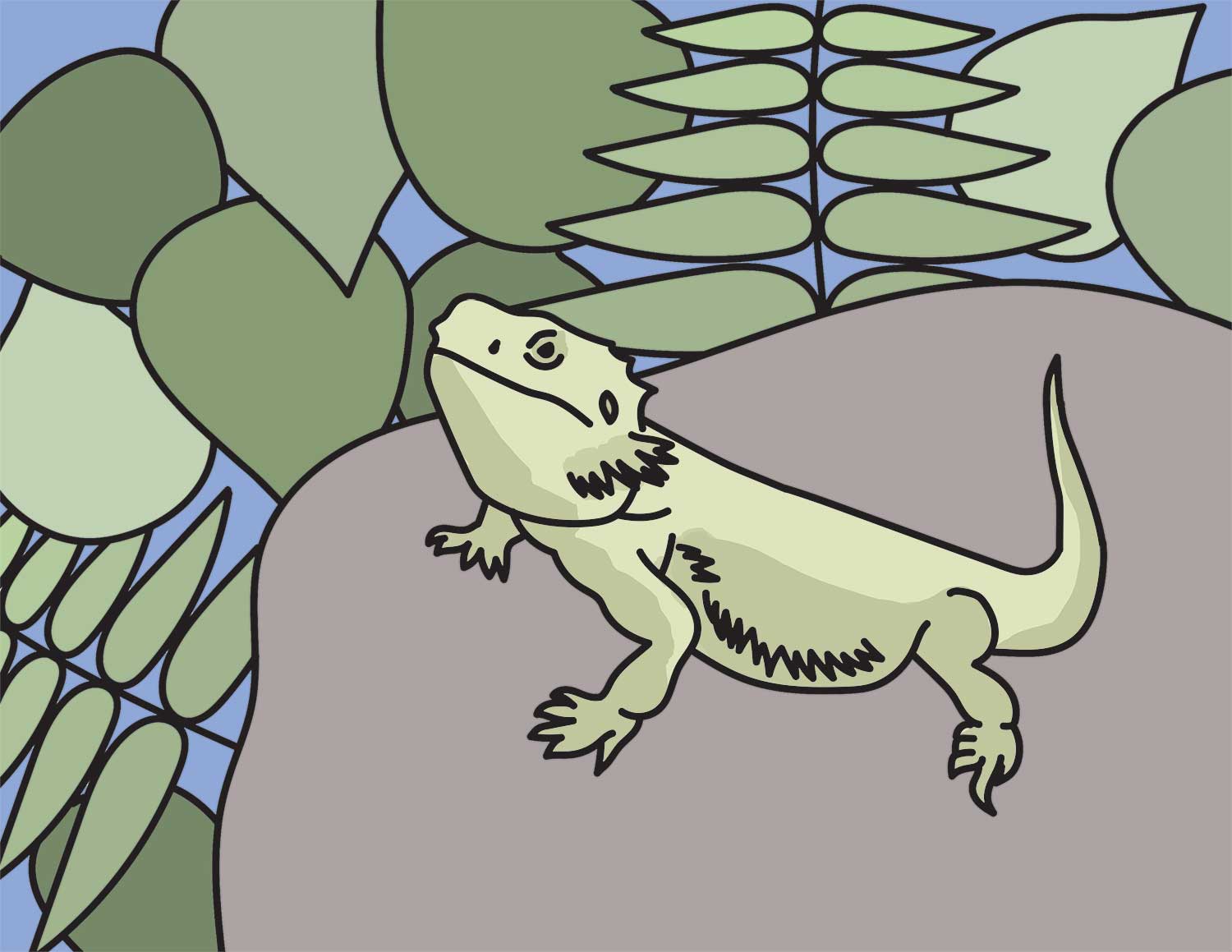 Learn How to Draw a Bearded Dragon (Lizards) Step by Step : Drawing  Tutorials