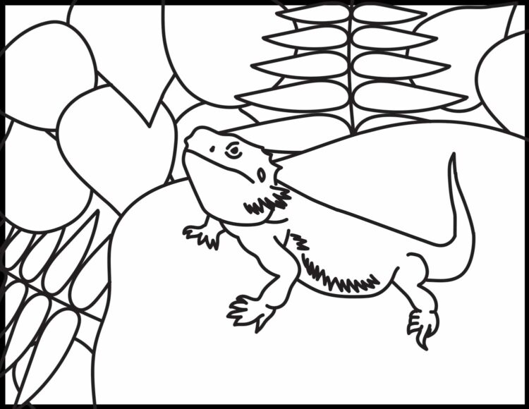 cute bearded dragon coloring page